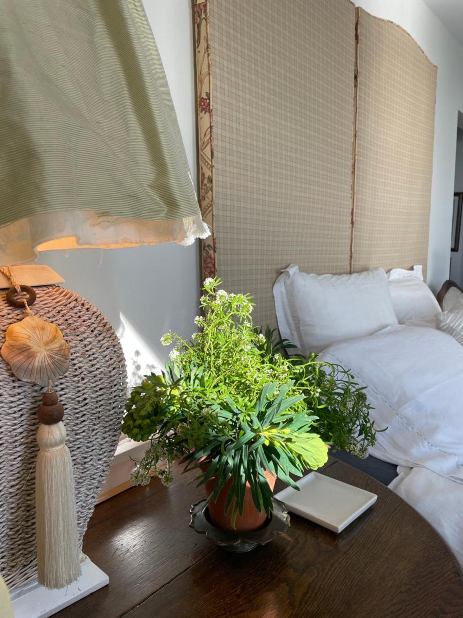 340 Degrees Alps&Sea Bed and Breakfast Christchurch Buitenkant foto